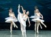 anastasia-and-denis-matvienko-in-swan-lake-with-the-national-ballet-of-ukraina-10