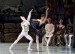 anastasia-and-denis-matvienko-in-swan-lake-with-the-national-ballet-of-ukraina-12