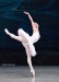 anastasia-matvienko-in-swan-lake-with-the-national-ballet-of-ukraina-2